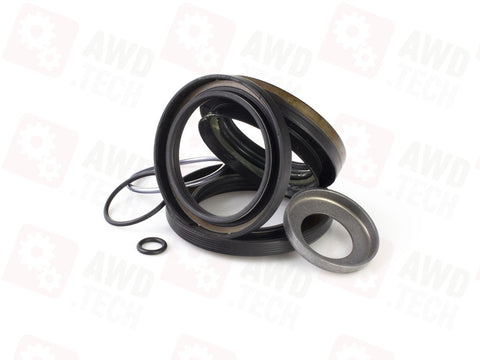 Dichtungssatz (für W61G)