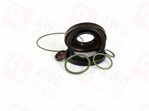 Dichtungssatz (für 95B)