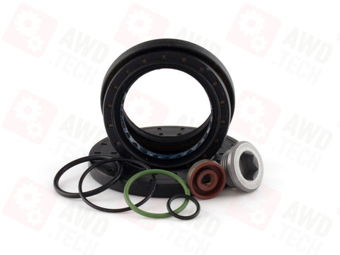 Zestaw uszczelniający (dla Maserati ATC)