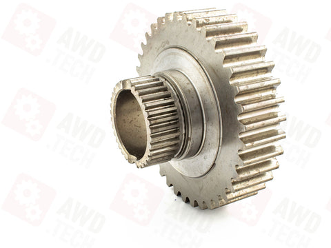 Pignone (dimensione 1,25