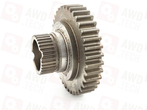 Pignone (dimensione 1