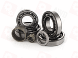 Bearing Kit (for DCS)
