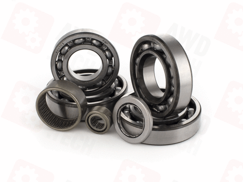 Bearing Kit (for DCS)